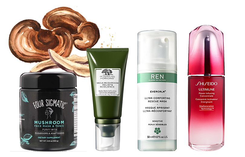 Трюфели, шиитаке и шампиньоны: узнали, зачем нужны грибы в составе косметики, и собрали 10 средств с ними.
